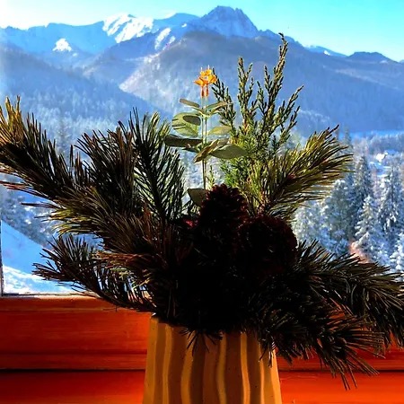 Holiday Krzysztoforow Zakopane
