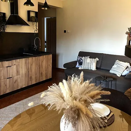 Krzysztoforow Apartamento Zakopane